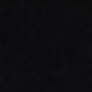 Meet your Posher, Paden